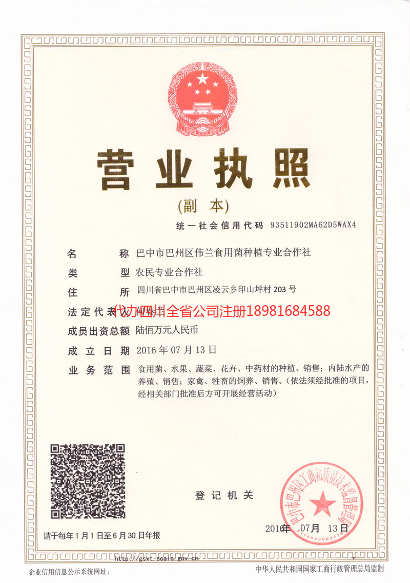 海阳海阳伟兰食用菌种植专业合作社